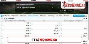 Tỷ lệ kèo bóng đá