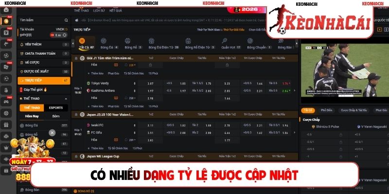 Có nhiều dạng tỷ lệ được cập nhật