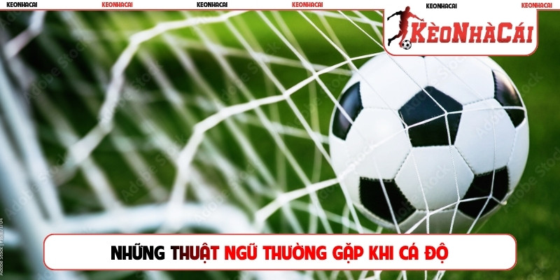 Những thuật ngữ thường gặp khi cá độ