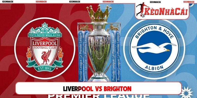 Soi Kèo Liverpool Vs Brighton 21H00, 25/10 Ngoại hạng Anh